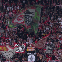 1 Fc Cologne Football GIF by 1. FC Köln