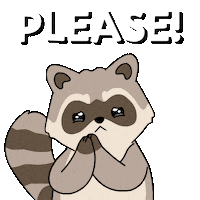 Racoon Please Sticker by Ordinary Frends