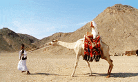egypt GIF