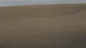 everything beautiful is far away running GIF by The Orchard Films