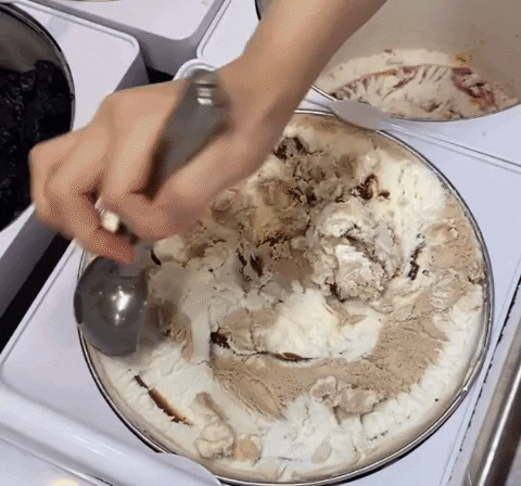 insight_newsroom giphyupload GIF