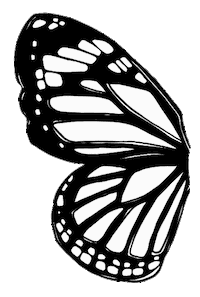 Butterfly Otava Sticker by Otavankirjat