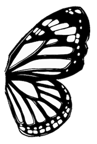 Butterfly Otava Sticker by Otavankirjat