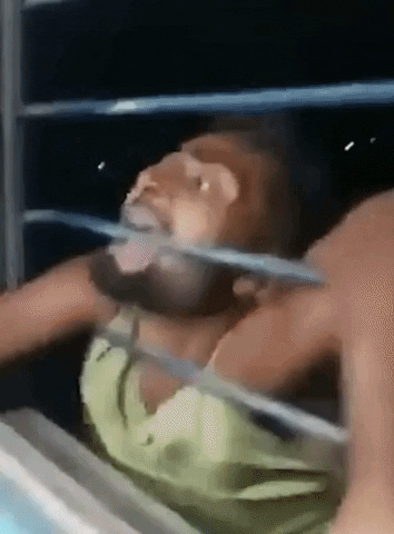 yj_jane giphygifmaker GIF