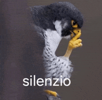 Serious Italian GIF