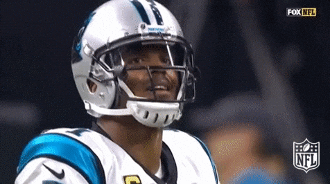 carolina panthers football GIF by NFL