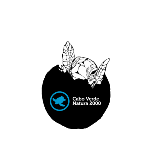 cvnatura2000 giphyupload Sticker