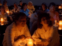 Wild Wild Life GIF by Talking Heads