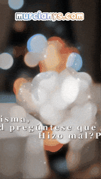 Amigos Copa GIF by Murcianys LLC