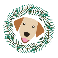 Eukanuba_DE dog hund doglove goodboy Sticker
