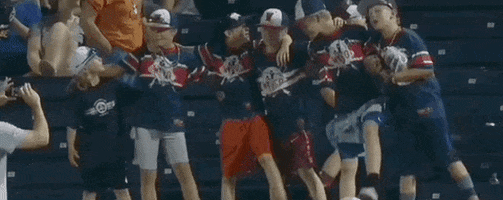 College World Series Baseball GIF by NCAA Championships