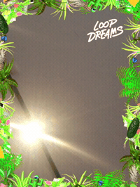 framebeta GIF