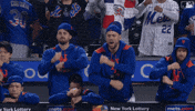 Baseball Celebrate GIF by New York Mets