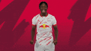 Sport Celebration GIF by RB Leipzig