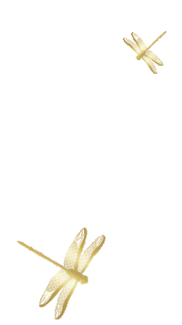 Sticker by Ted Baker