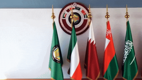 السعودية GIF