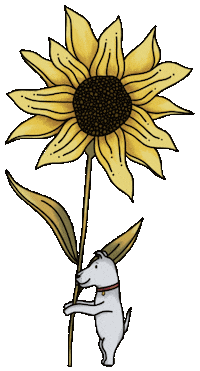 simonhurleycreate dog flower sun puppy Sticker