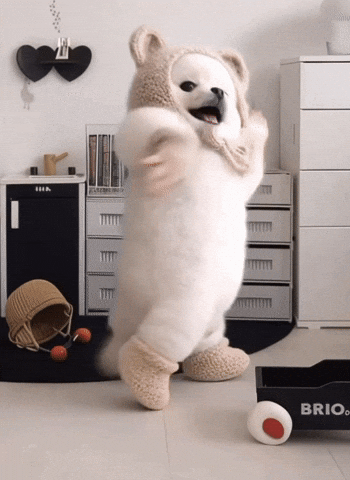Happy Shih Tzu GIF