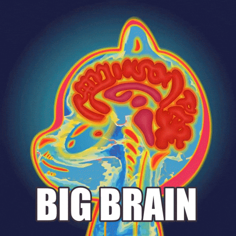 Think Big Brain GIF by WUFFI
