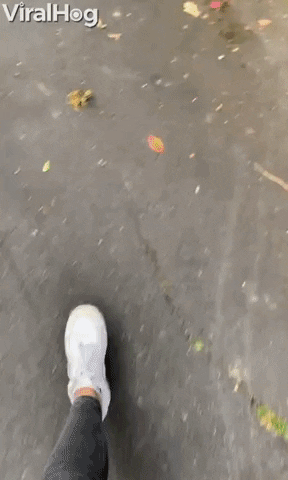 Scary Moment Girl Steps On Something Squishy GIF by ViralHog
