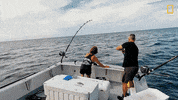 Wicked Tuna Fishing GIF by National Geographic Channel