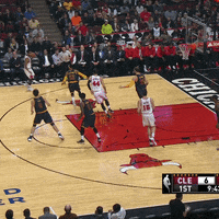 chicago bulls dribble GIF by NBA
