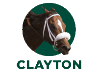 Horse Racing Sticker by Woodbine