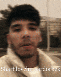 Sardor GIF