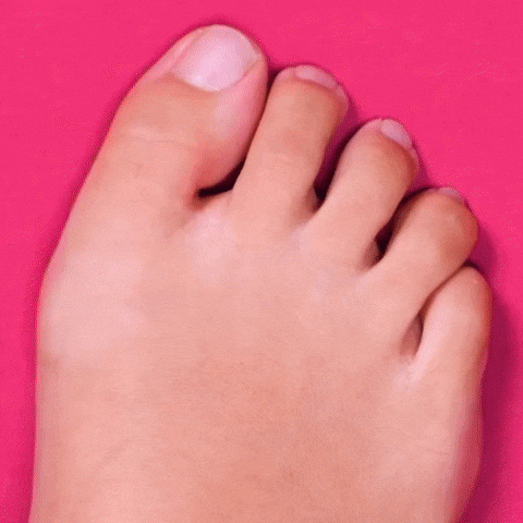 nabavkica giphyupload GIF
