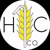 Straws Ecostraw GIF by Holy City Straw Company