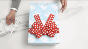 storage organization GIF by The Container Store