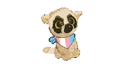 Pride Trans Sticker by Bókasafn Hafnarfjarðar