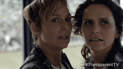season 1 GIF by Transparent