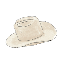 Hat Country Sticker by Sivan Ayla