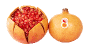 MARFRUIT granada pomegranate elche magrana Sticker