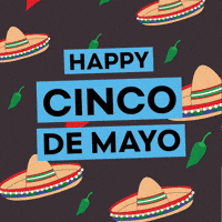 May 5Th Cinco De Mayo GIF by MTVU