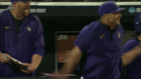 Lsu Tigers Baseball GIF by NCAA Championships
