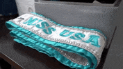 sash GIF by Miss USA
