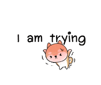 Dog Instagram Sticker by Minto Inc.