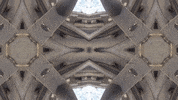 Art Video GIF by jorgemariozuleta