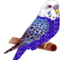 eagle STICKER