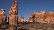 utah GIF