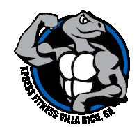 xpressfitness flex turtle xf xpressfitness Sticker