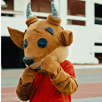 Panamericanos GIF by Team Chile