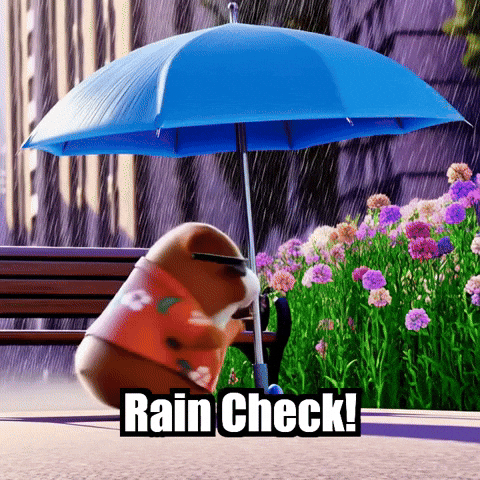 Rainy Day Rain Check GIF by Guinea Gambino