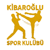 Boxing Kick Sticker by kibaroglusportgym