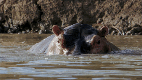 Water Sigh GIF by ABC Network