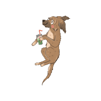 Holimona Sticker