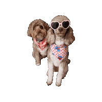 Valentines Sticker by Geekster Pets