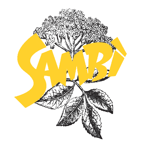 Bio Fiore Sticker by Sambi.bio